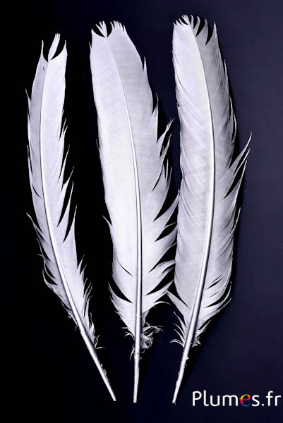 Paon bleu - 30-35  cm - argenté